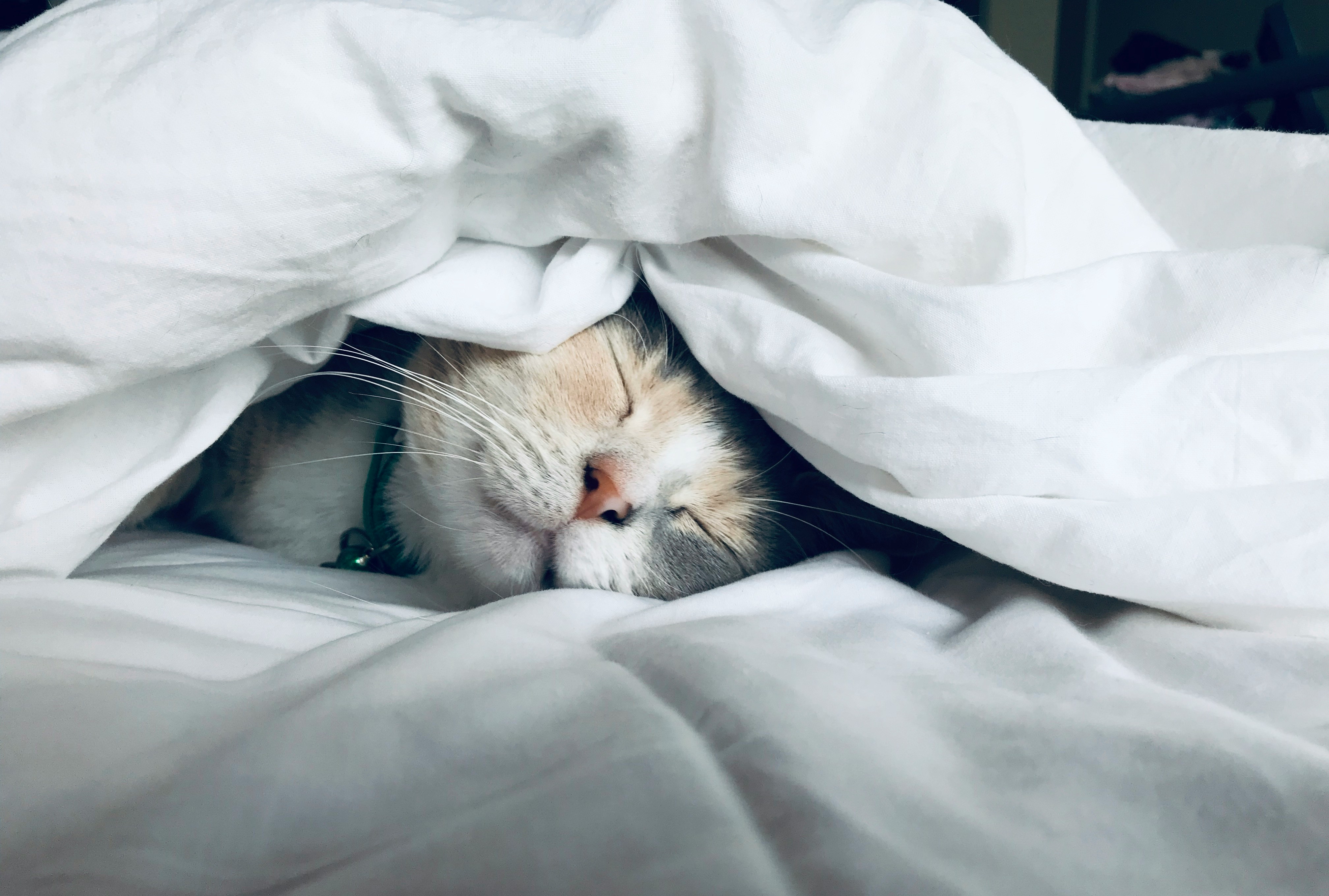Sleep Science